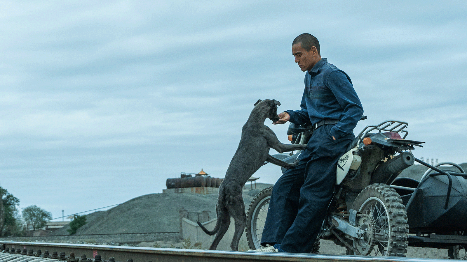 《狗陣》：邊緣人不打邊緣狗